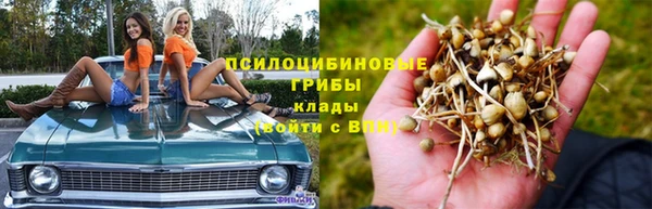 прущая мука Алексин