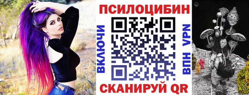 Псилоцибиновые грибы Cubensis  Купить  Курган 