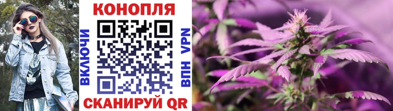 Купить  Курган  Бошки Шишки сатива 